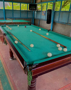 У Петровича