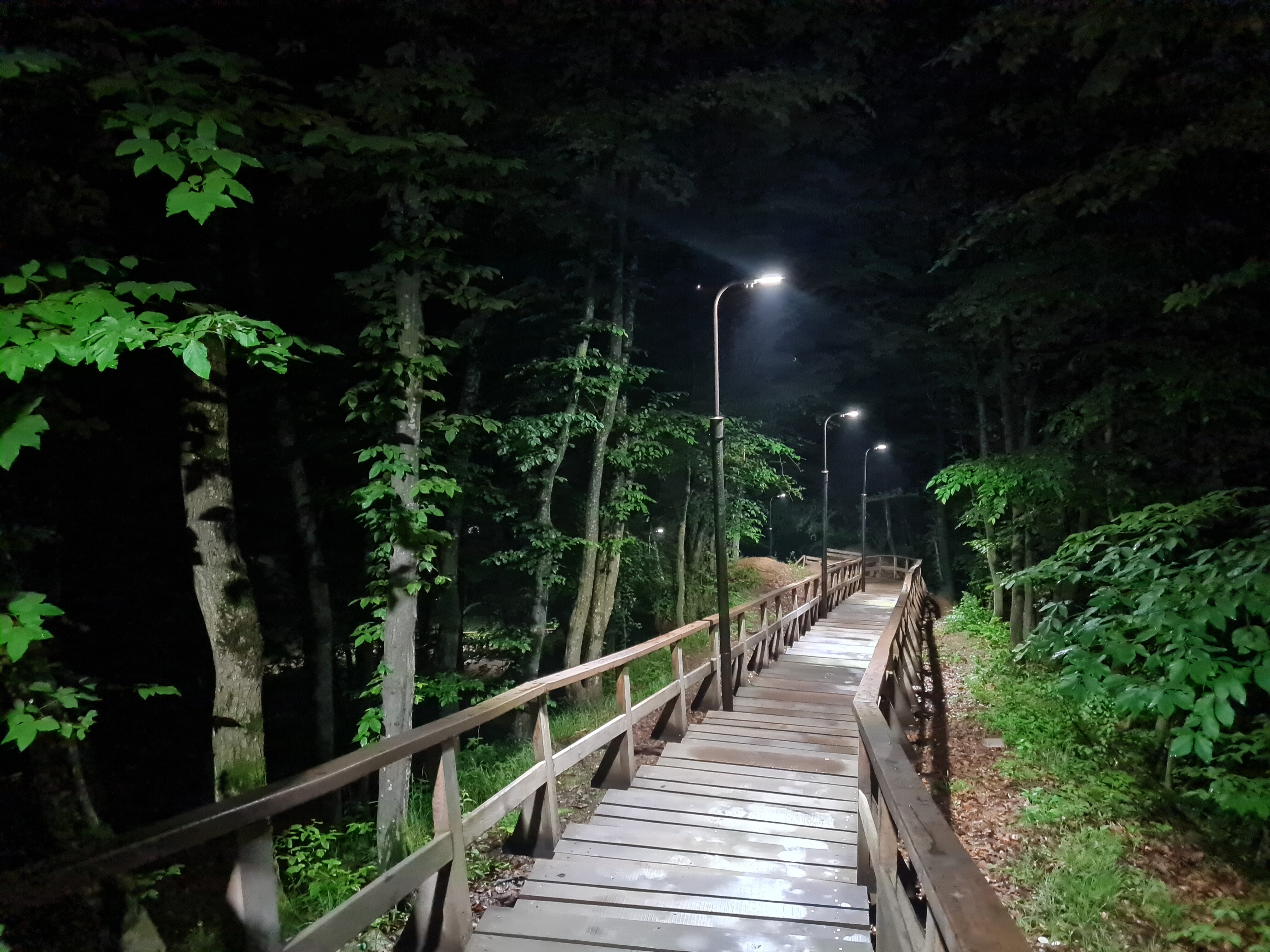 Фото Рябиновые бусы