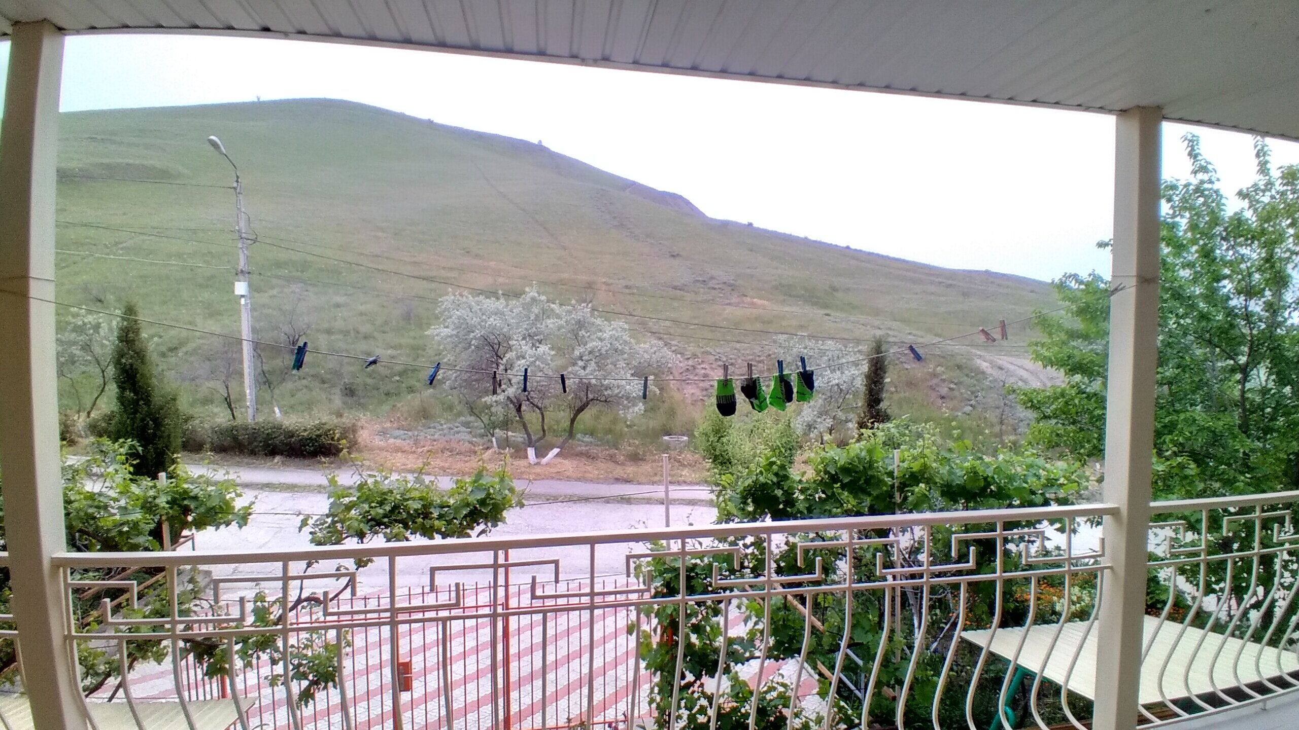 Фото Григорий