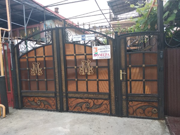 Фото Тропики