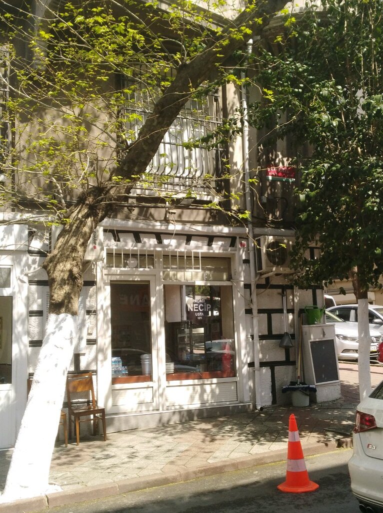 Turk Tatli Sanati Necip Usta Nadir Kitap