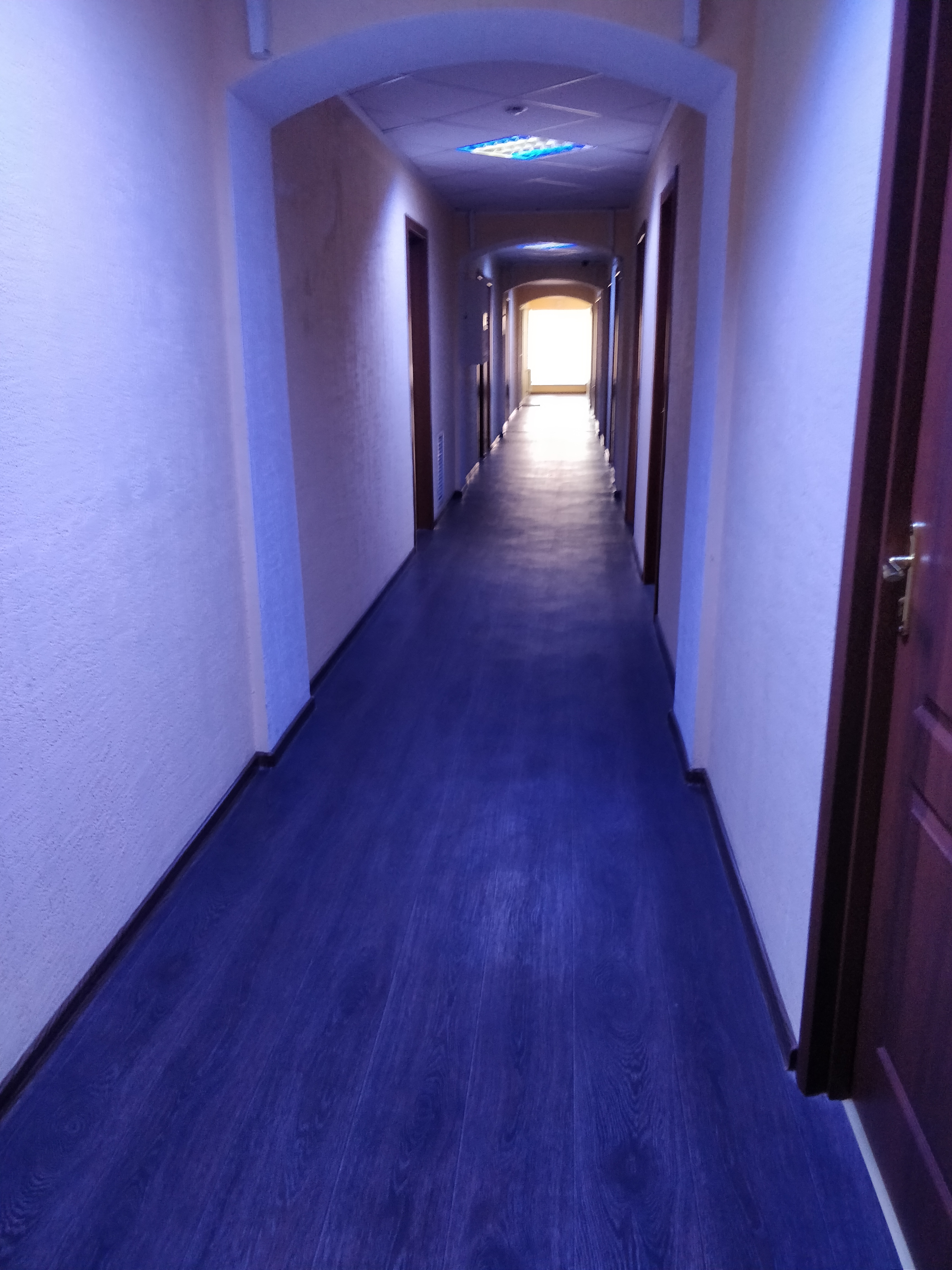 Фото Гомель