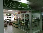 Листок (ул. Калинина, 93, Пенза), магазин цветов в Пензе