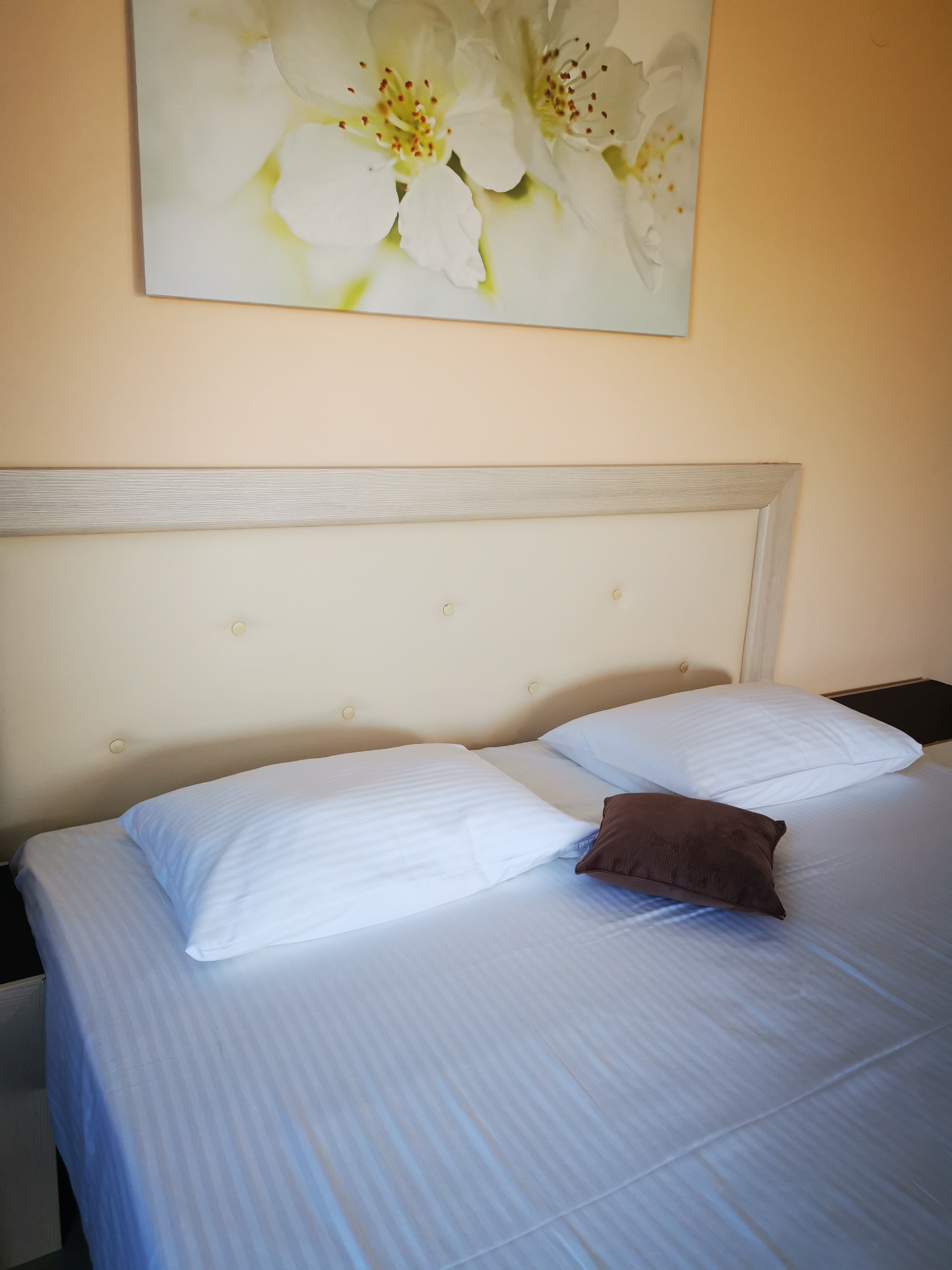 Фото Оптимист