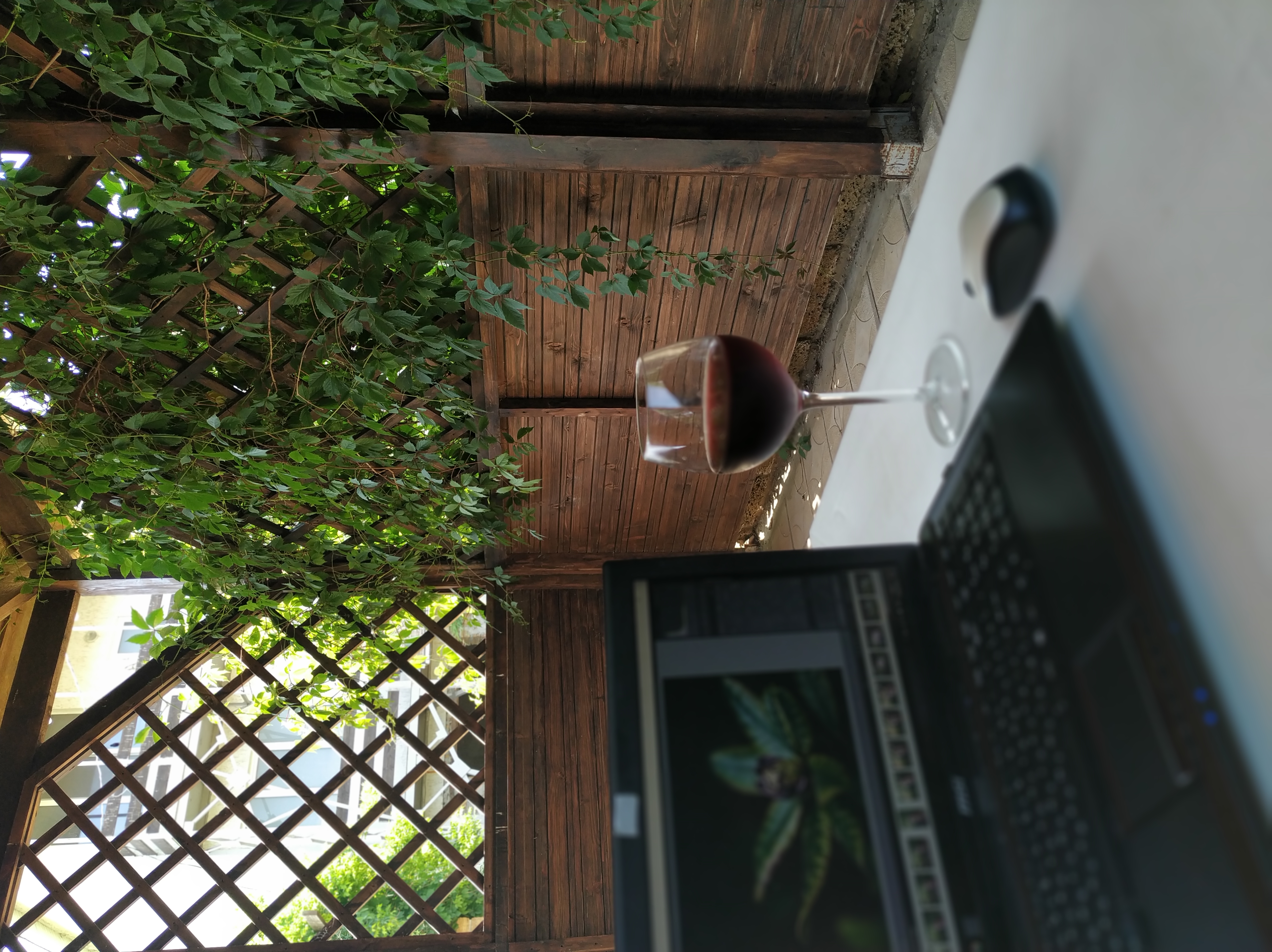 Фото Жемчужина