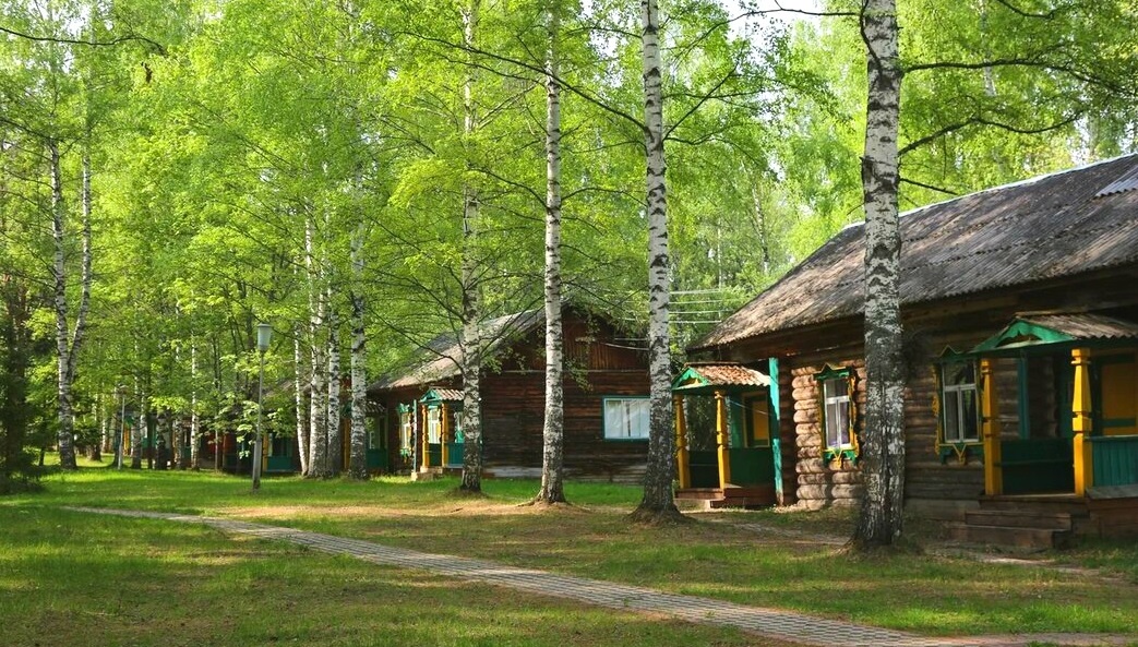 Фото Подсолнухи