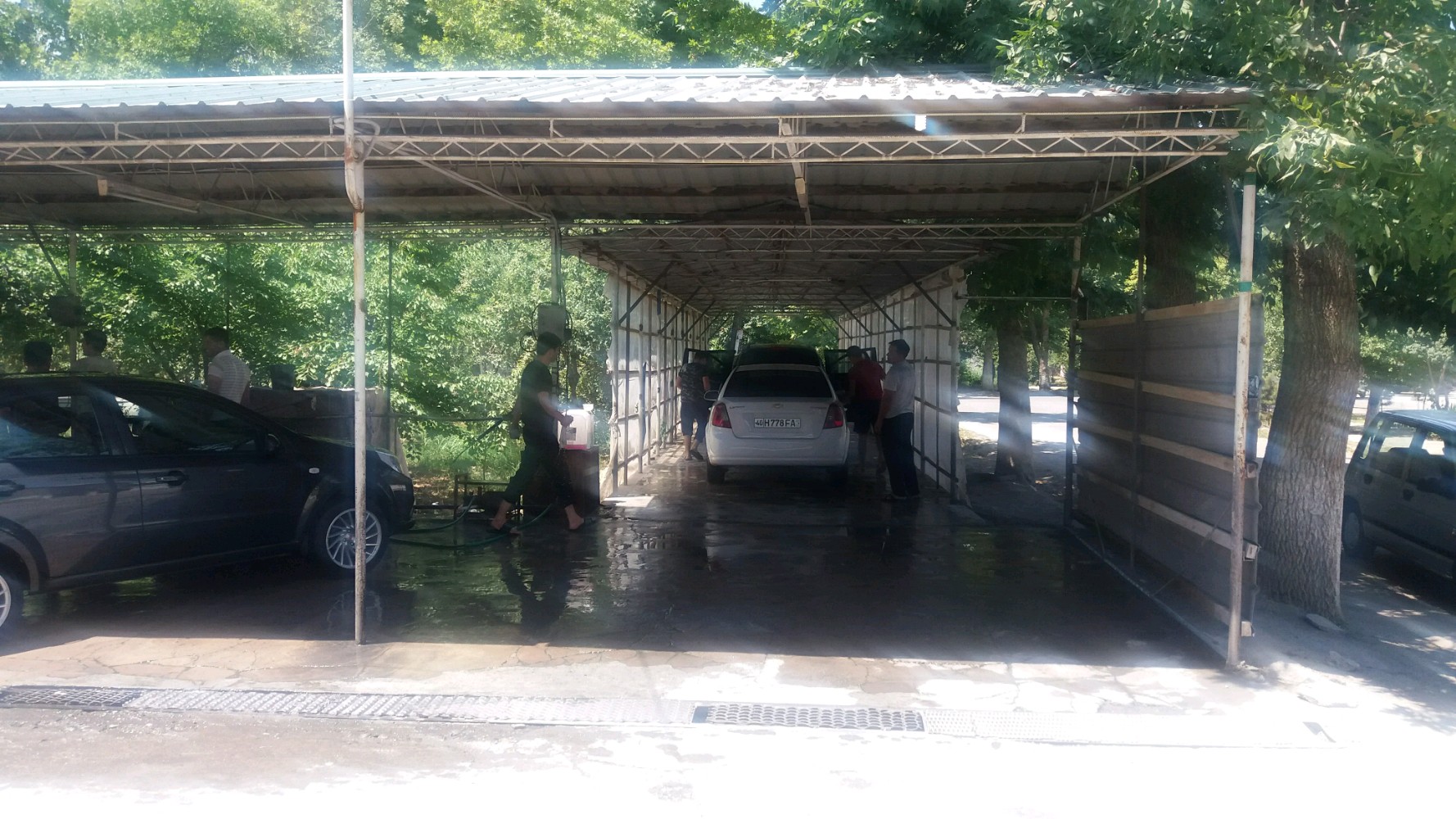 Maskalar jinnilikni korsatadi