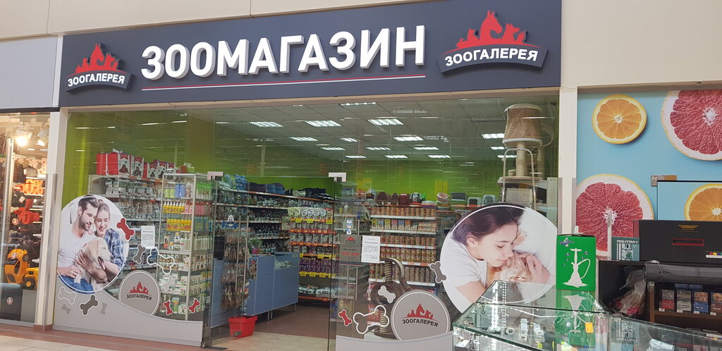 Зоогалерея Интернет Магазин Москва Личный Кабинет
