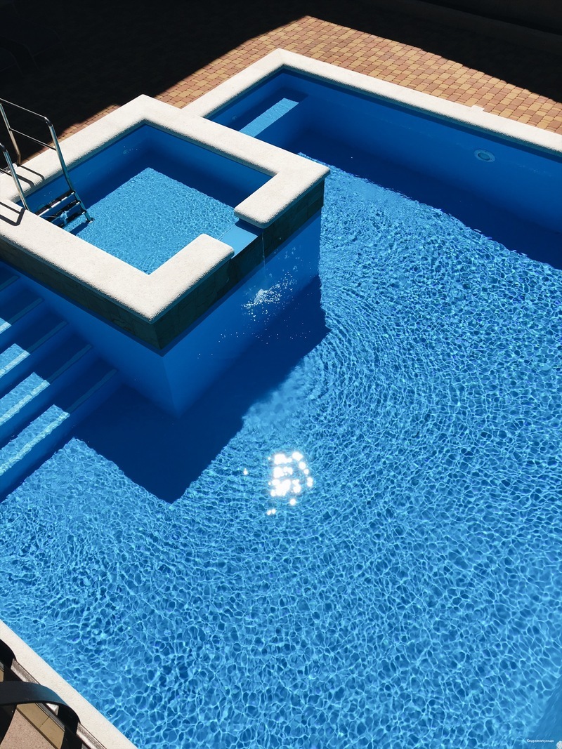 Фото Кедровая роща