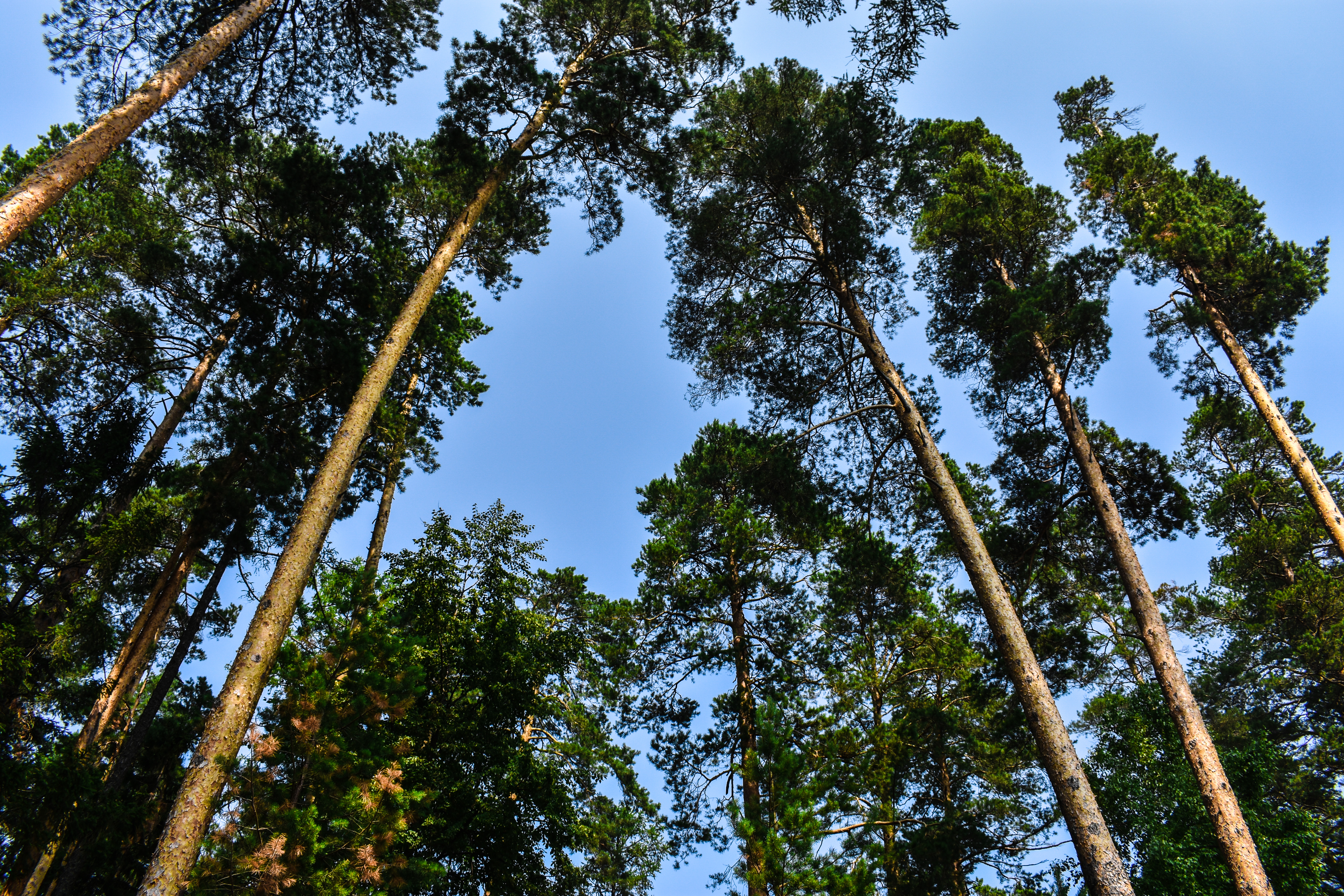 Фото База отдыха Костоваты