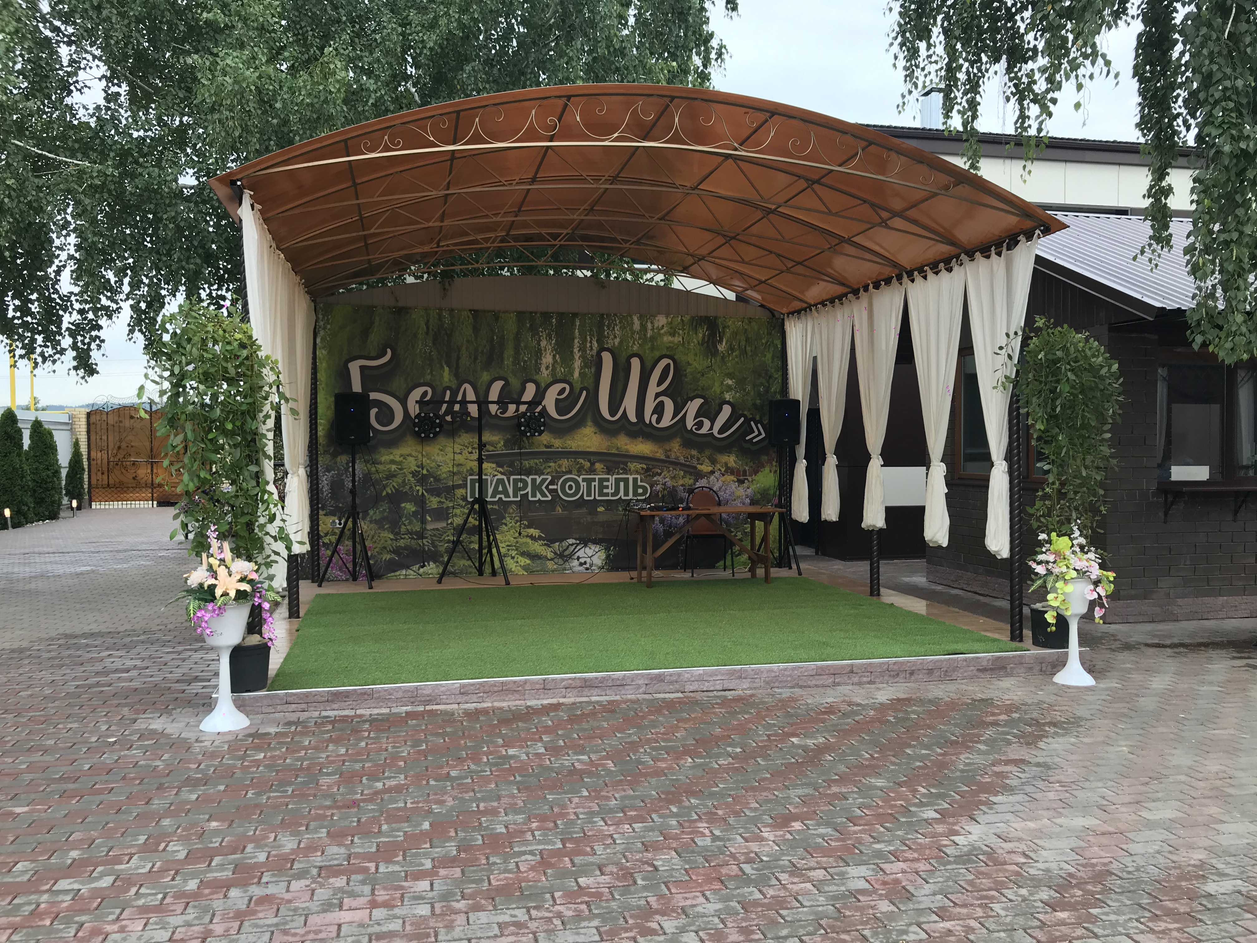 Фото Белые ивы