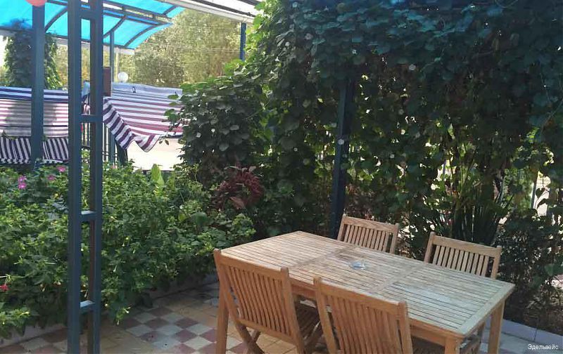 Фото Эдельвейс