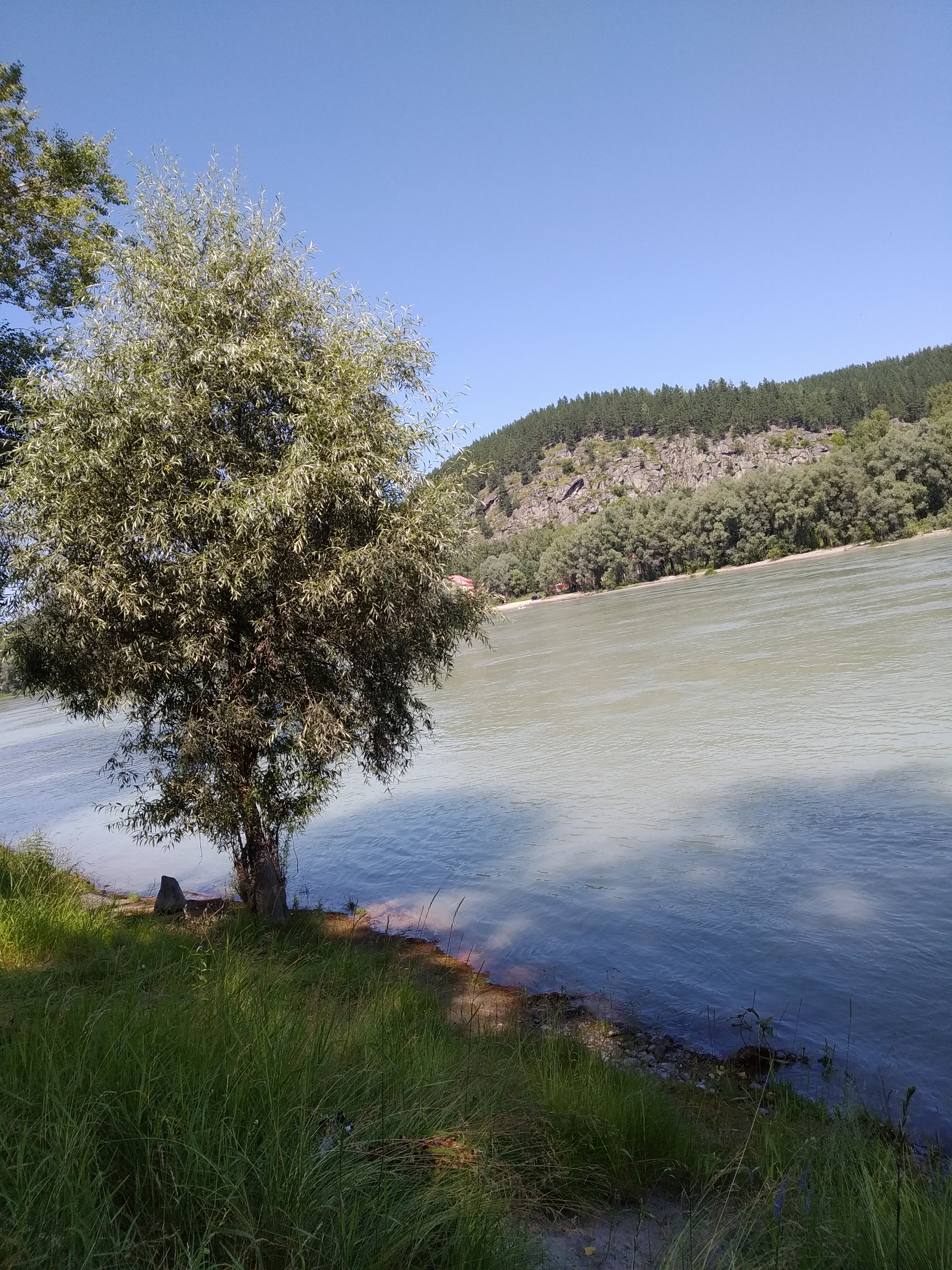 Фото Алтай rest