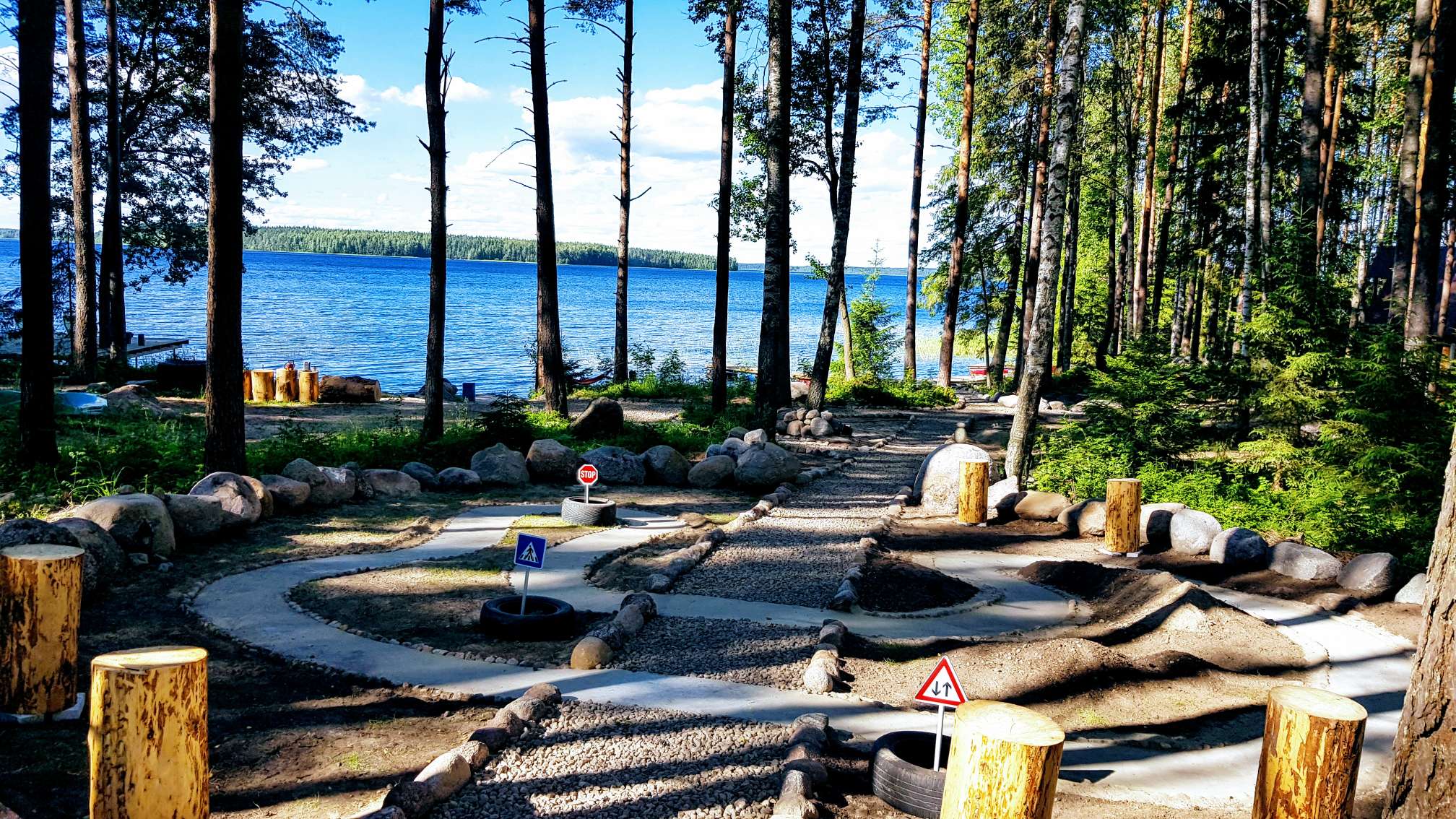 Фото Черная лиса