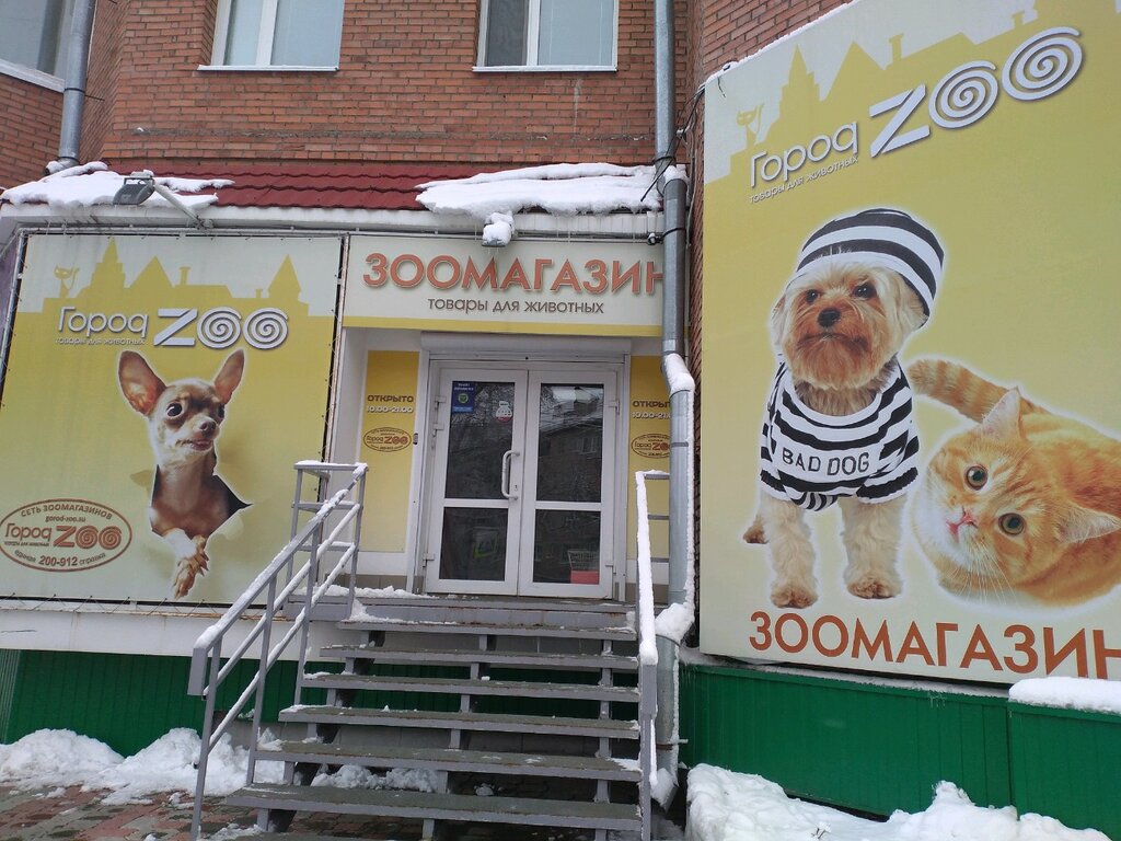 Зоо Интернет Магазин Томск