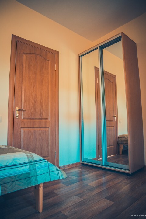 Фото Дельфиниум