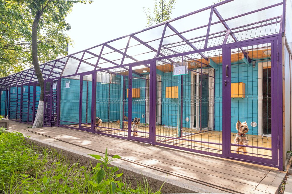Бизнес проект гостиница для животных Permanently closed: Pet360, pet hotel, Saint Petersburg, Zelenogorskaya Street, 