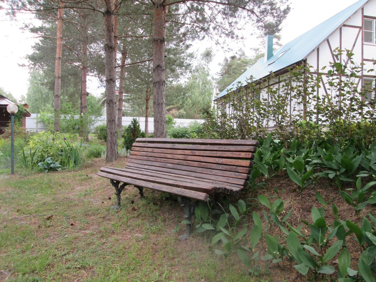 Фото Дом под соснами