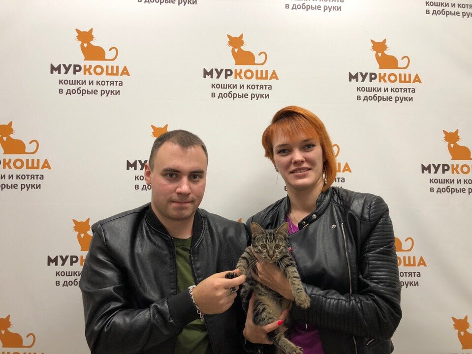 Фото: Муркоша, приют для животных, Осташковская ул., 14, стр. 2, Москва - Яндекс