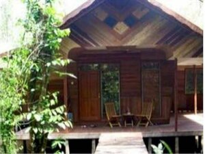 Rimba Orangutan Eco Lodge