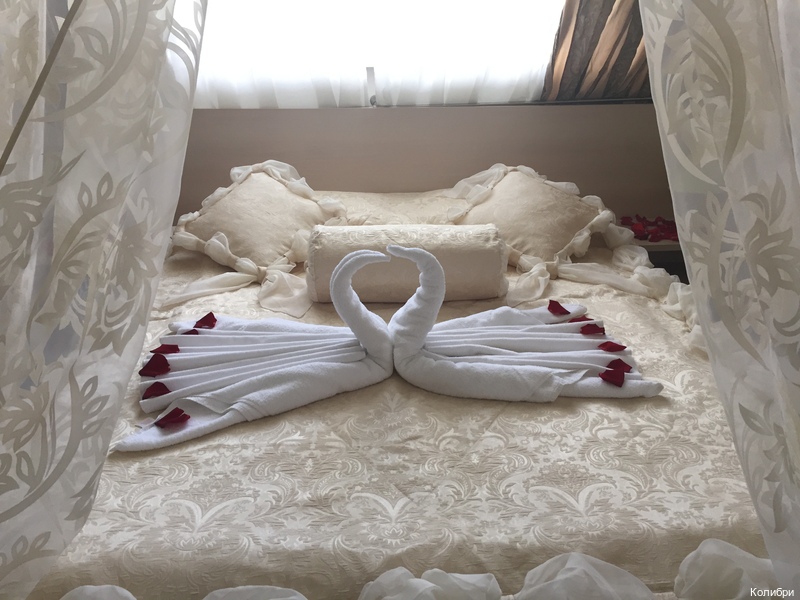 Фото Колибри