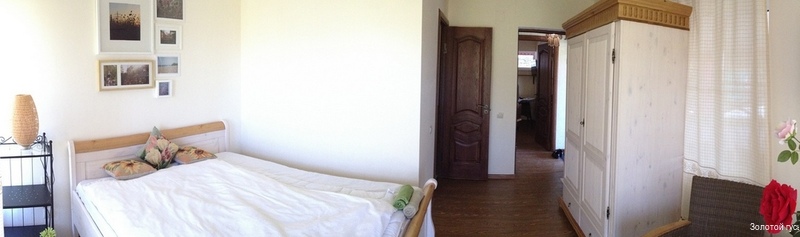 Фото Золотой Гусь