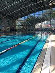 Wow Swimmer (Leningradskoye Highway, 39с53), swimming pool