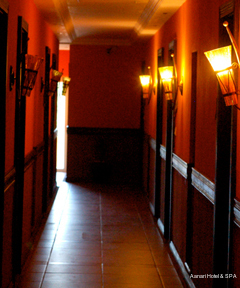 Фото Aanari Hotel & SPA