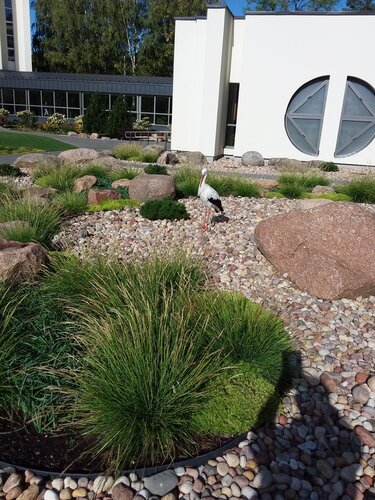 Санаторий Эгле в Алитусском уезде