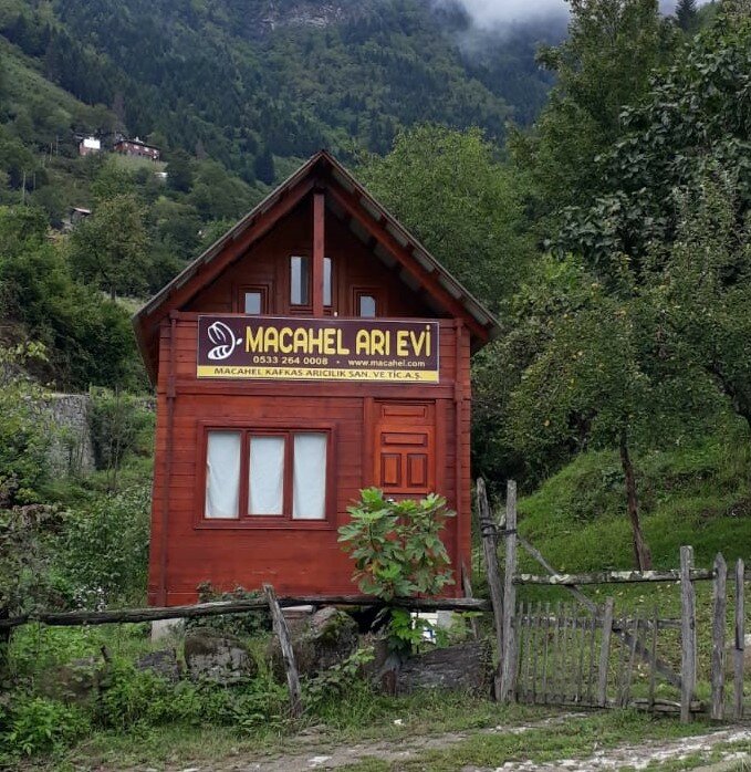 Macahel Kafkas Arıcılık, bal ve arıcılık firmaları, Camili Köyü, Borçka, Artvin, Türkiye - Yandex Haritalar