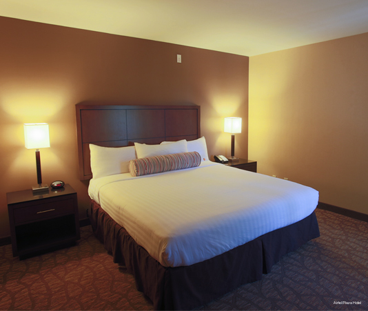 Фото Airtel Plaza Hotel