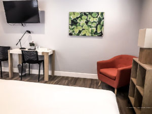 Фото El Royale Hotel