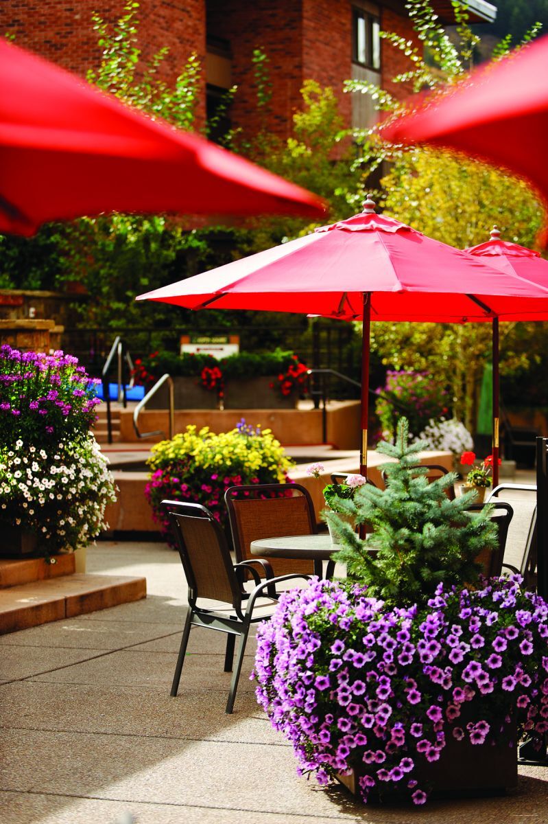 Фото Aspen Square Condominium Hotel