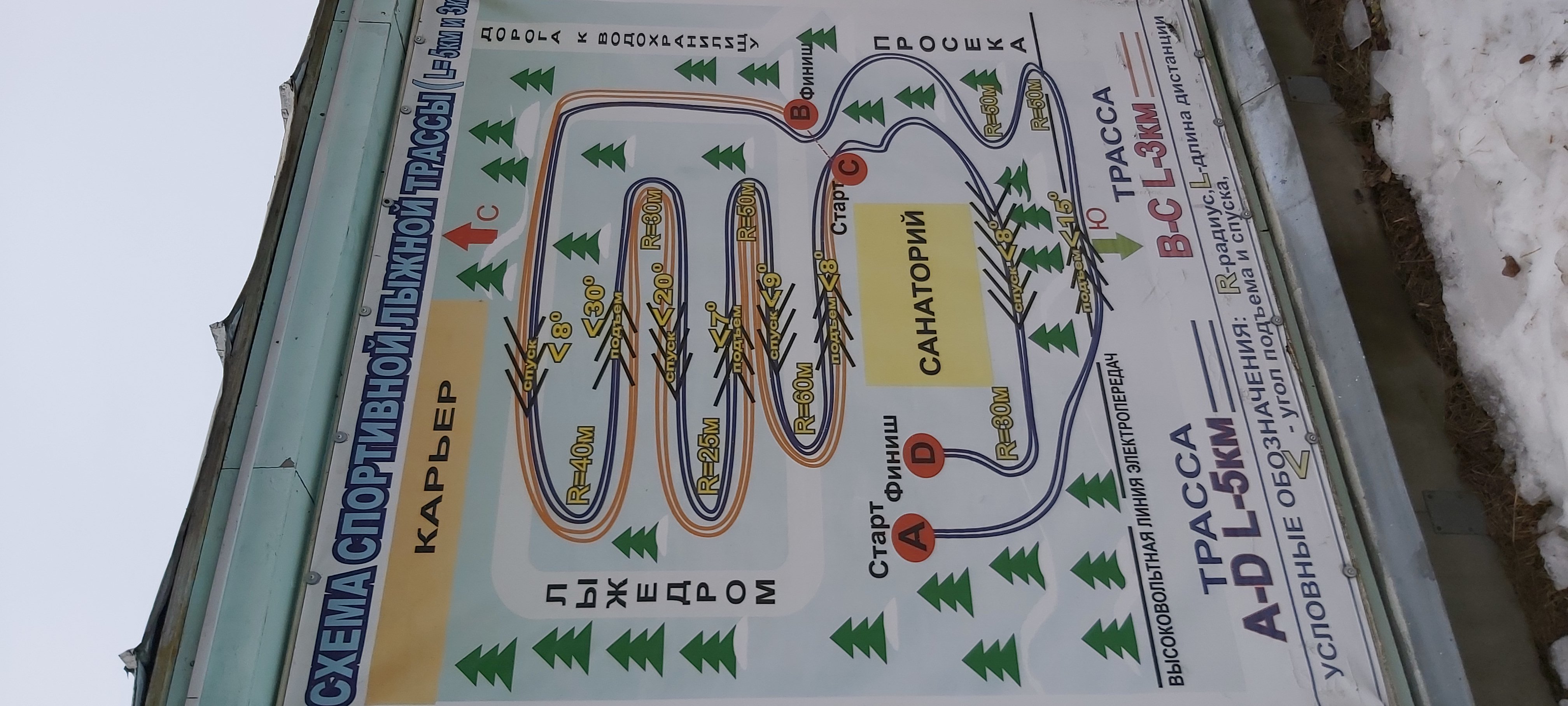 Фото Лесная жемчужина