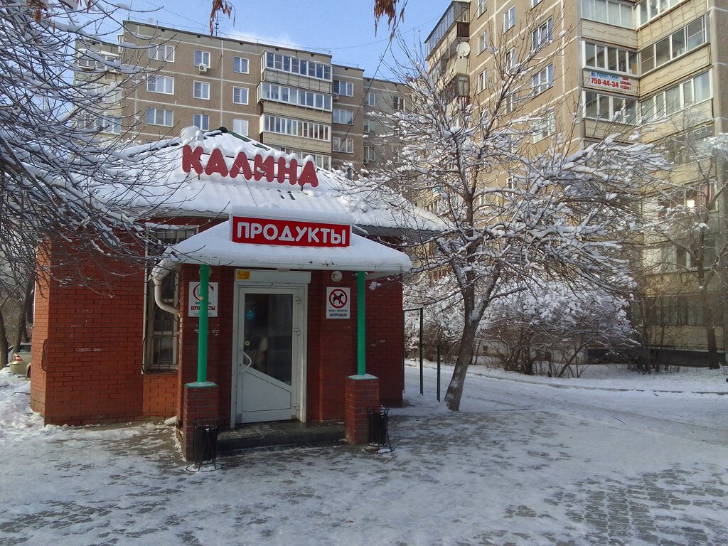 Магазин продуктов Калина, Челябинск, фото