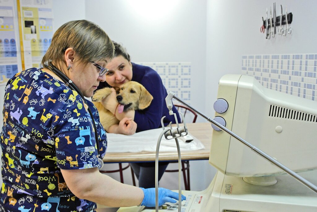 Veterinary clinic Zhizn, Kaluga, photo