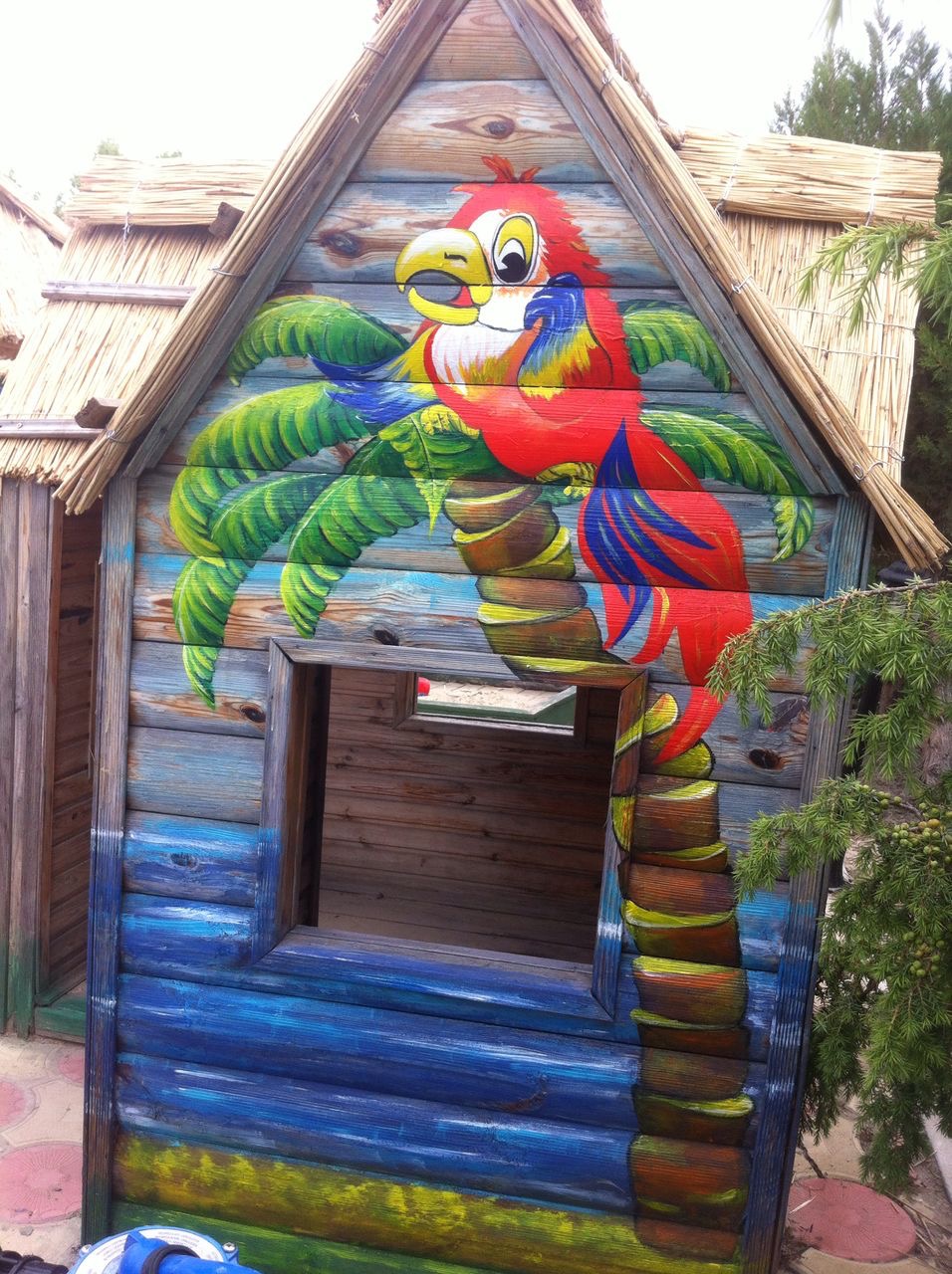 Фото Воробьиное гнездо