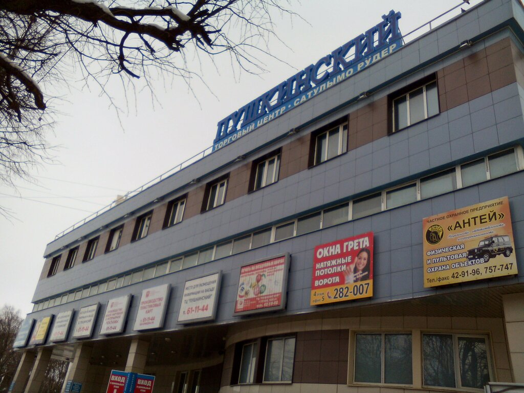 Shopping mall TTs Pushkinsky, Yoshkar‑Ola, photo