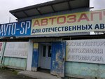 Auto-SP (Kuybysheva Street, 117Б), auto parts and auto goods store