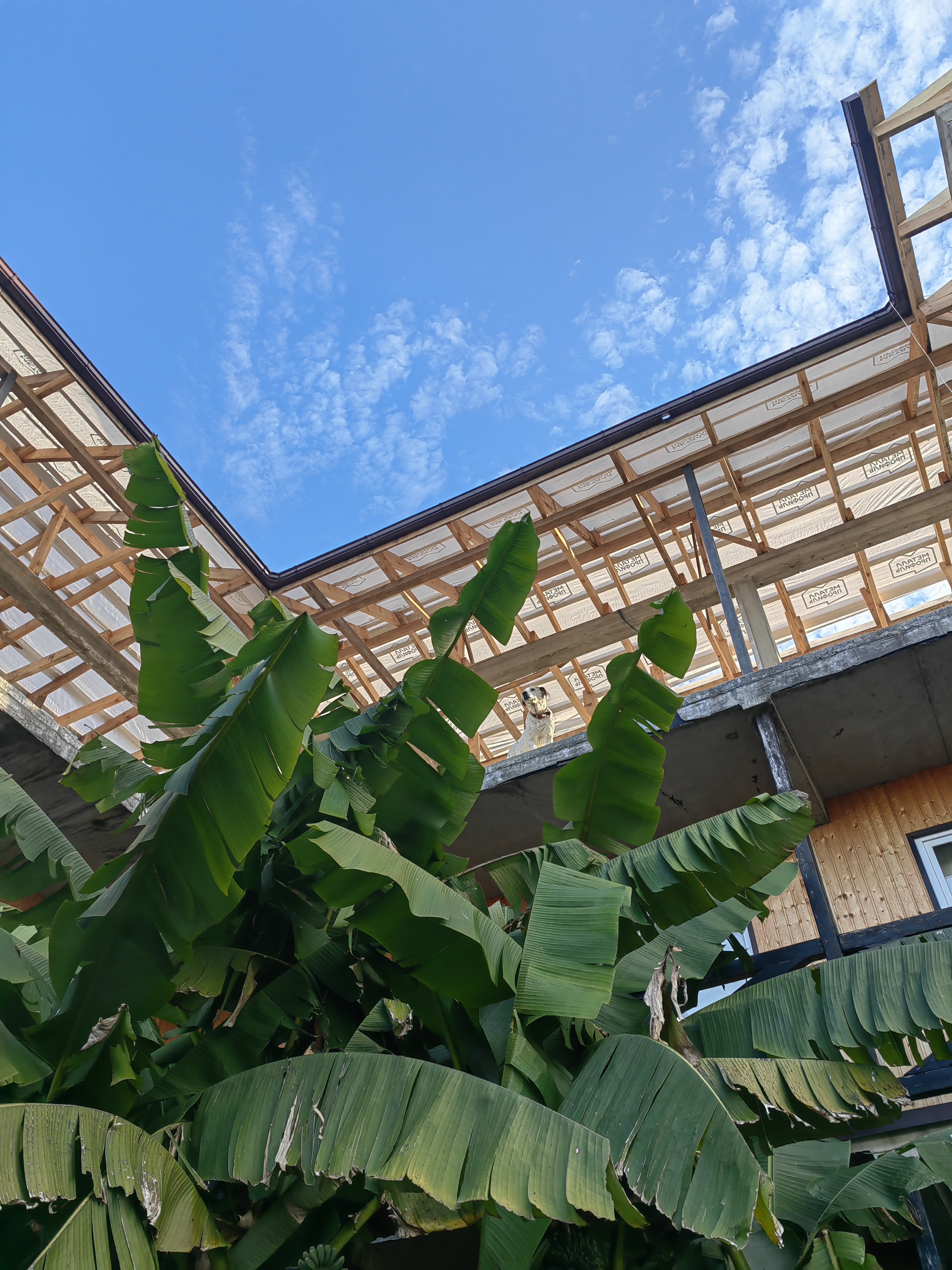 Фото Шале у моря