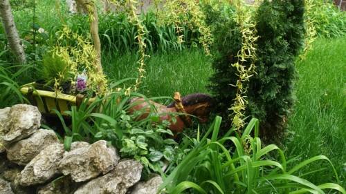 Апартаменты Живём на Горького 30 в Симферополе