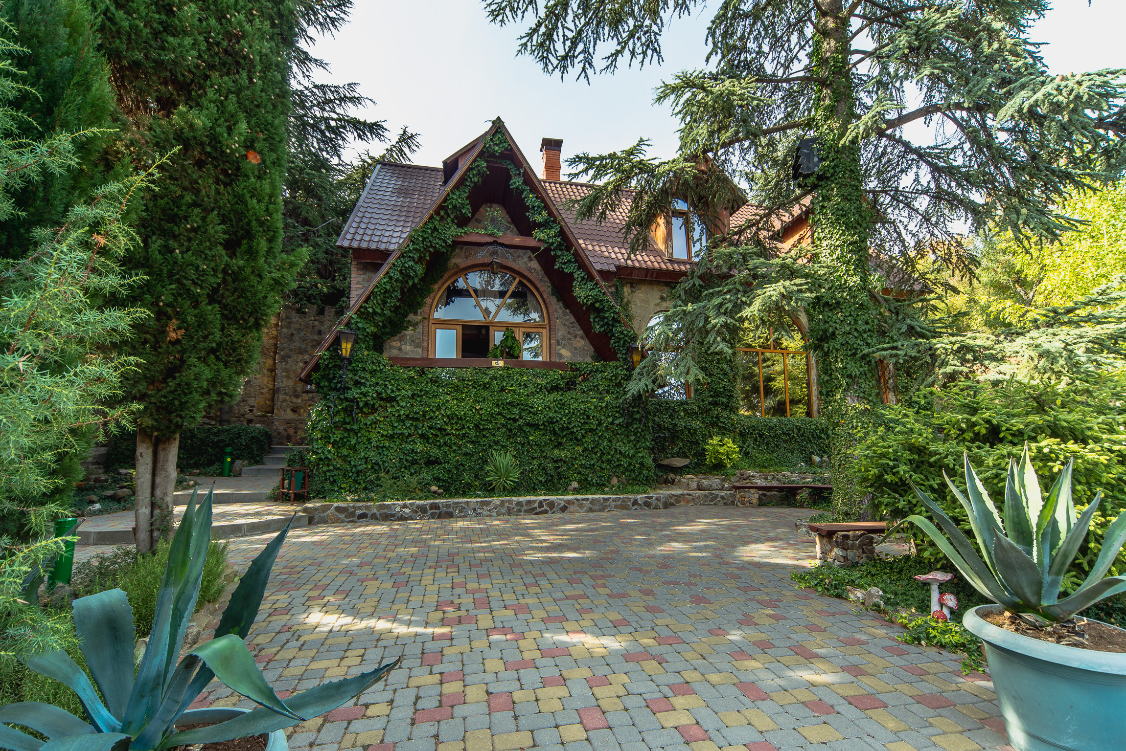 Фото Лесной