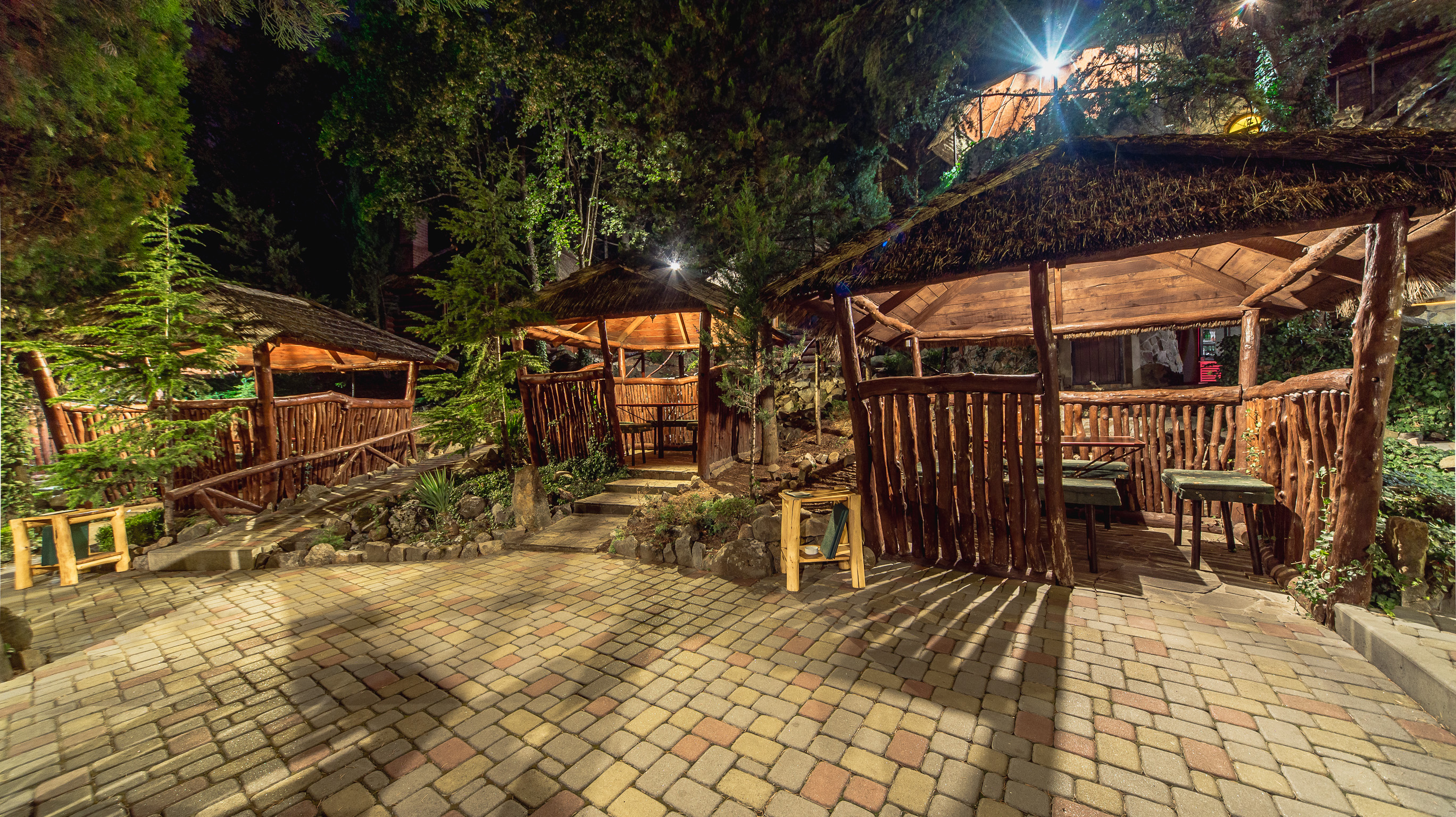 Фото Лесной