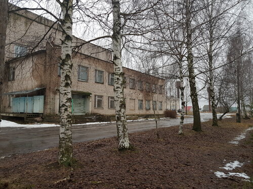 Hospital Гаврилово-Посадская центральная районная больница, Gavrilov Posad, photo