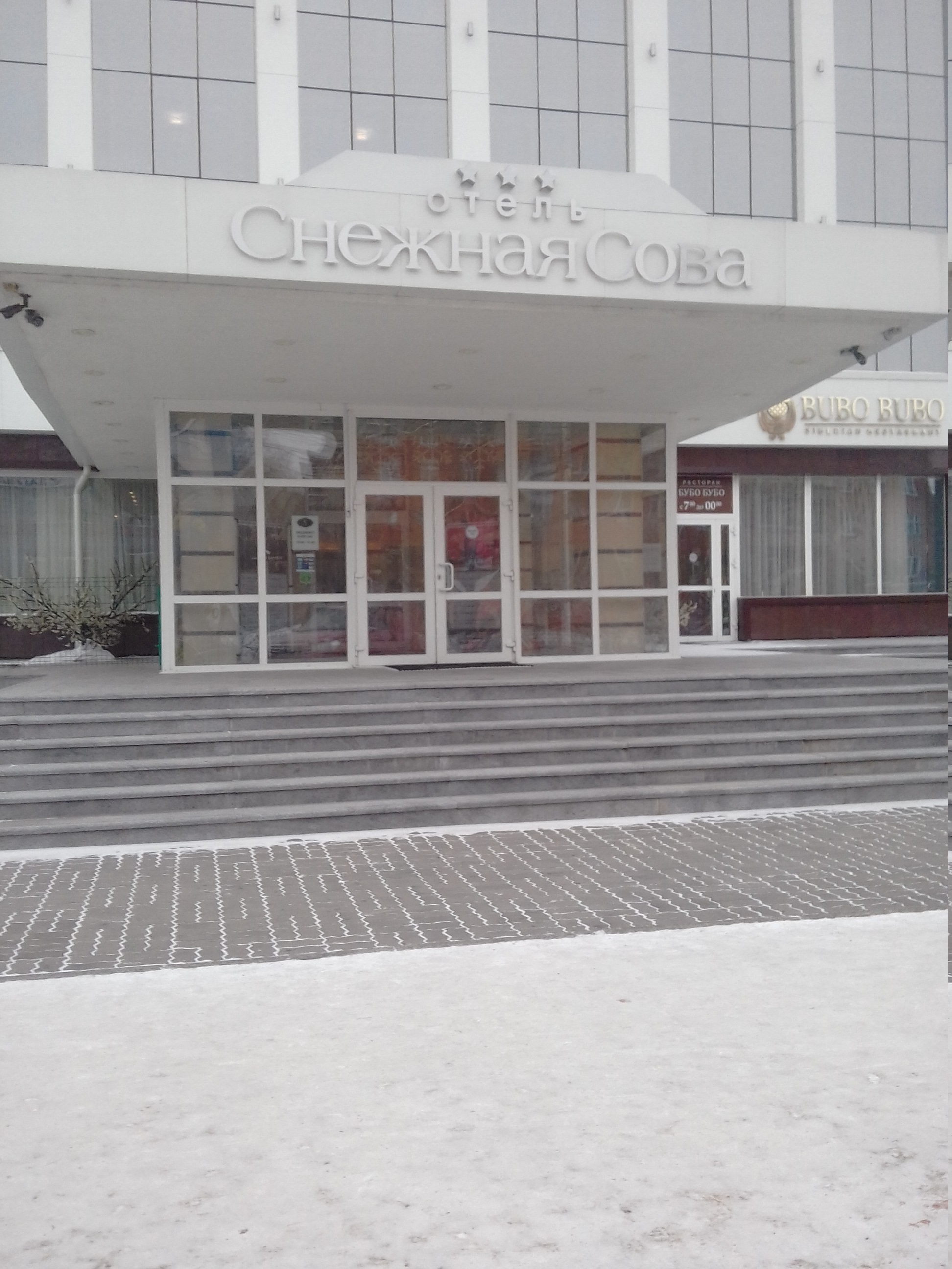 Фото Снежная сова