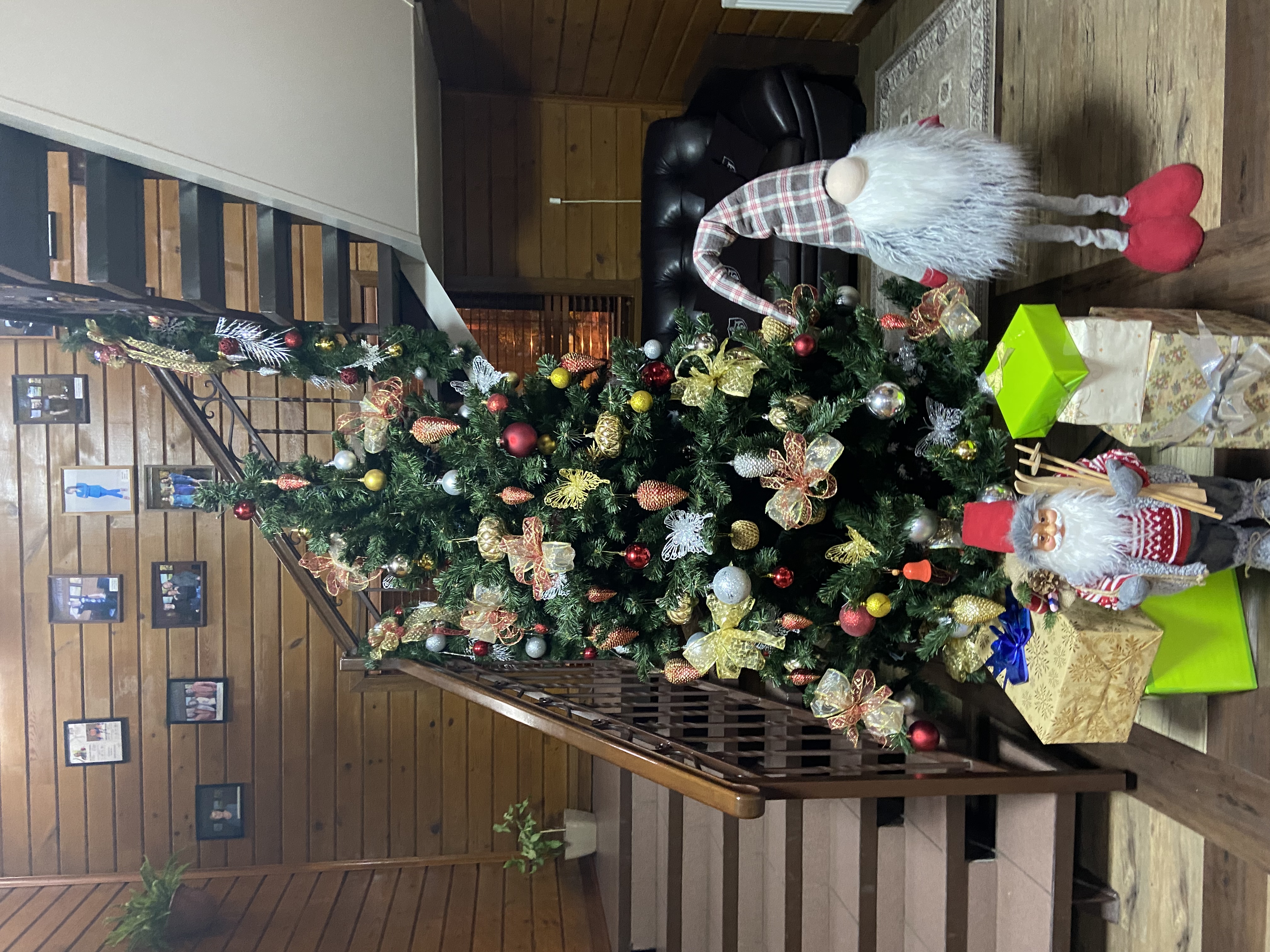 Фото Времена года