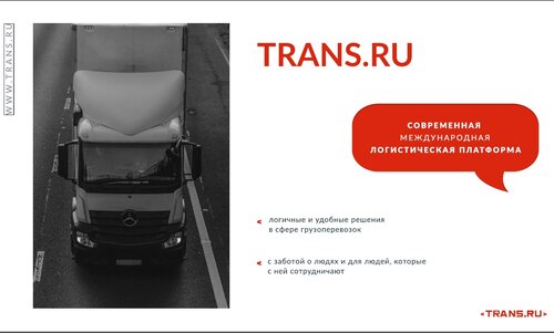 Toplar orniga mushuk surati