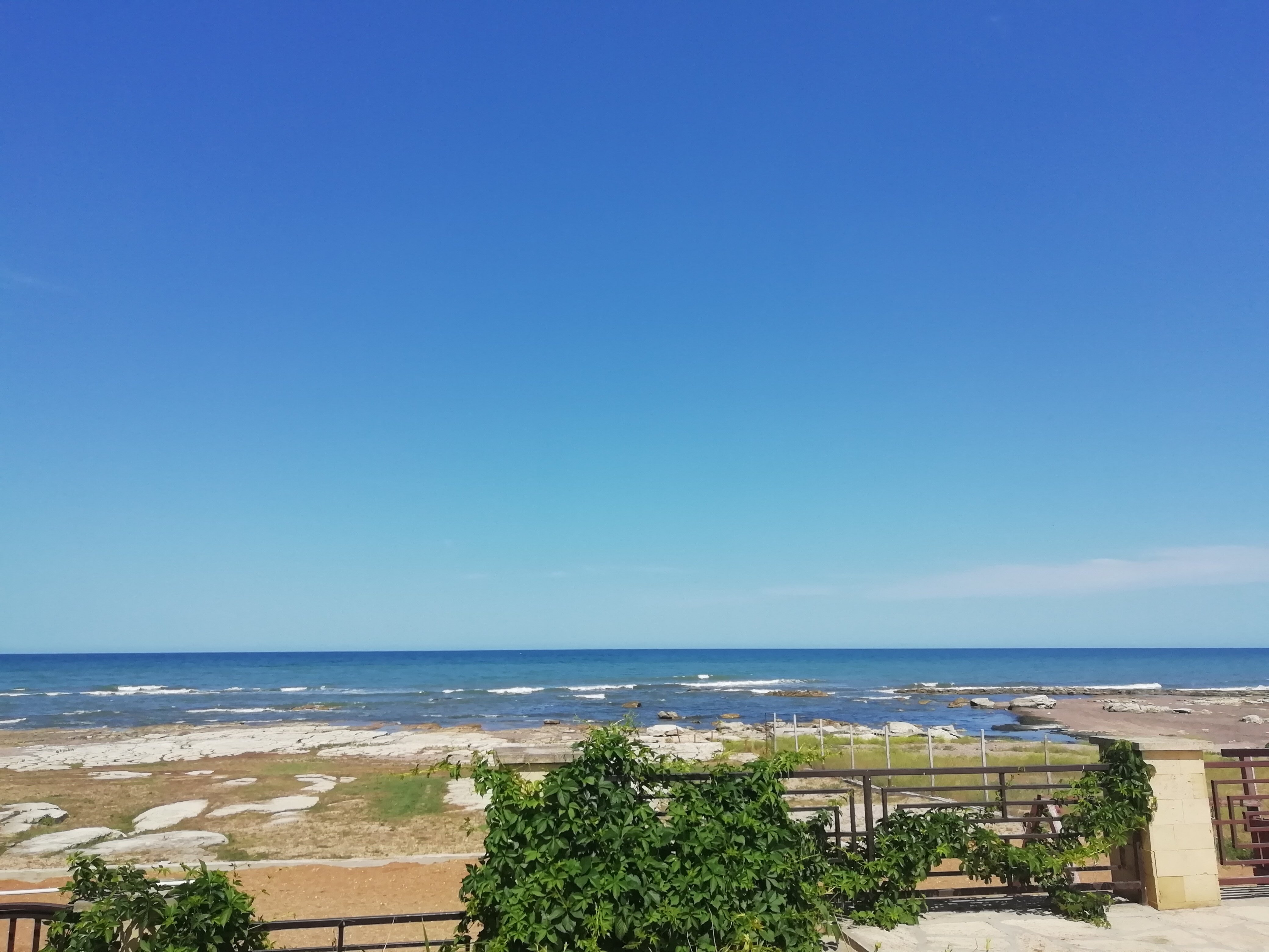 Фото Ассорти