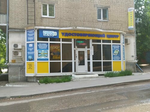 Дельфин вишневый пр 9 саратов фото