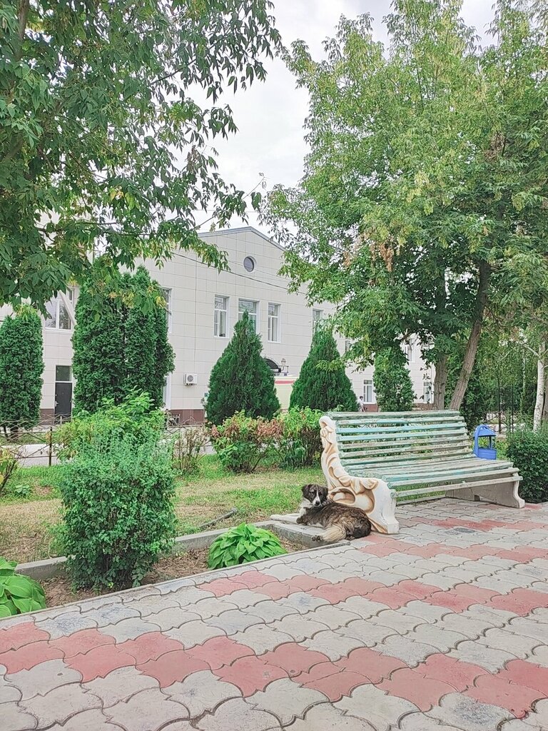 Department of the hospital Городская клиническая больница № 3 имени С. М. Кирова, приёмное отделение, Astrahan, photo